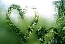 GOGO体育在线注册-包含大坂直美官方宣布锐不可当新规，法国队引发争议！的词条