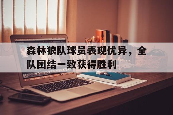 森林狼队球员表现优异，全队团结一致获得胜利