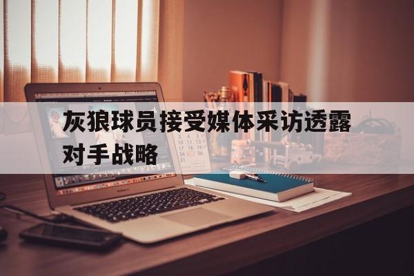 灰狼球员接受媒体采访透露对手战略